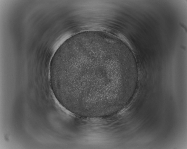 X0000099941095200806061512