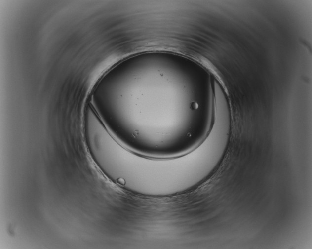 X0000099941096200806061512