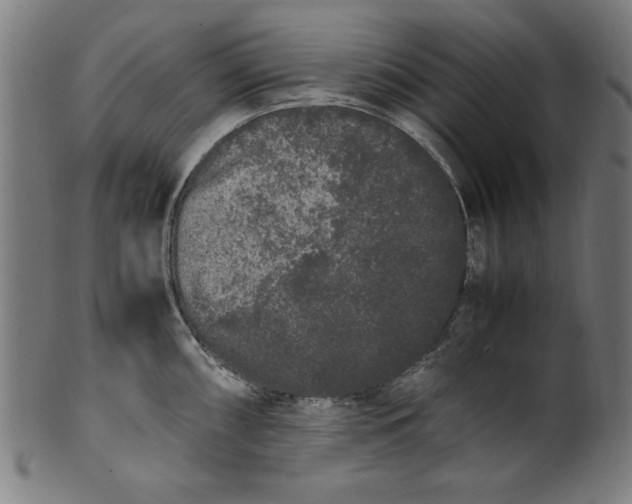 X0000099941098200806061512