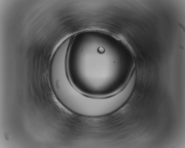 X0000099941100200806061512