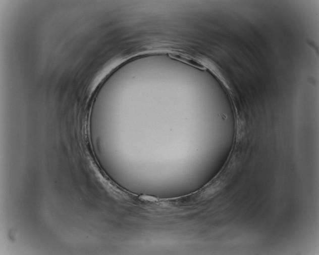X0000099941101200806061512