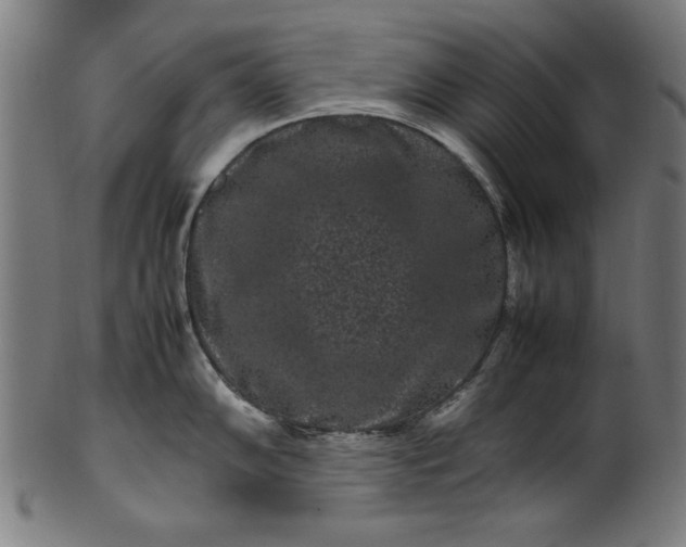 X0000099941102200806061512