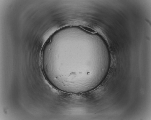X0000099941103200806061512