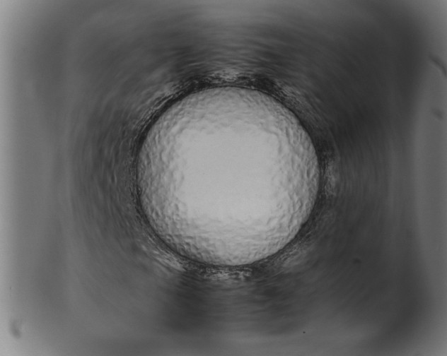 X0000099941105200806061511