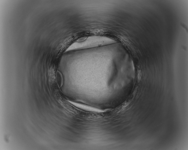 X0000099941106200806061511
