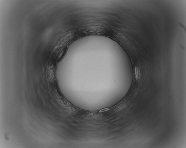 X0000099941107200806061511