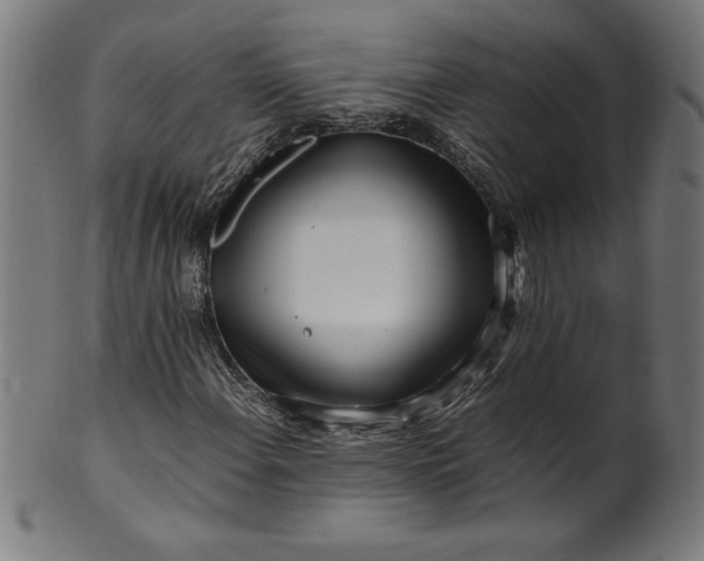 X0000099941108200806061511