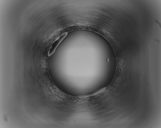 X0000099941110200806061511