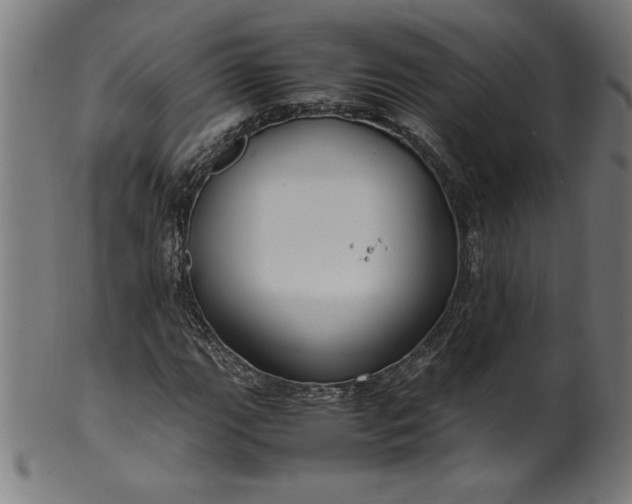 X0000099941111200806061511