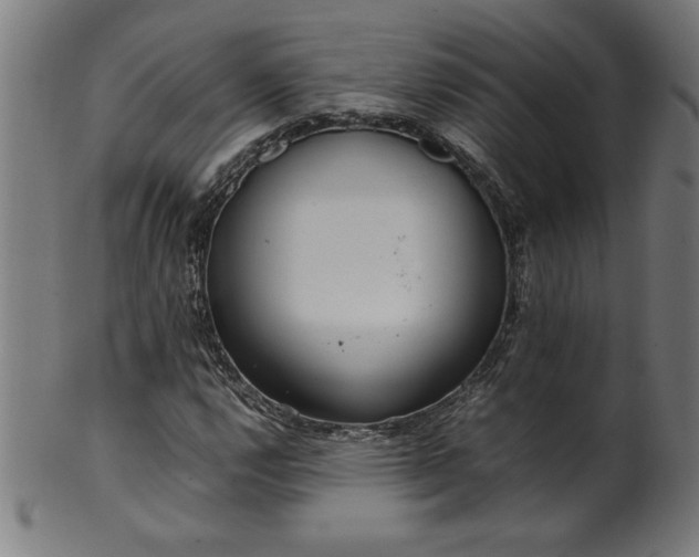 X0000099941112200806061511