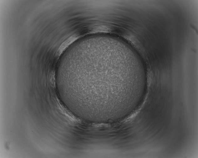 X0000099941113200806061511