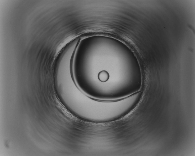 X0000099941114200806061511