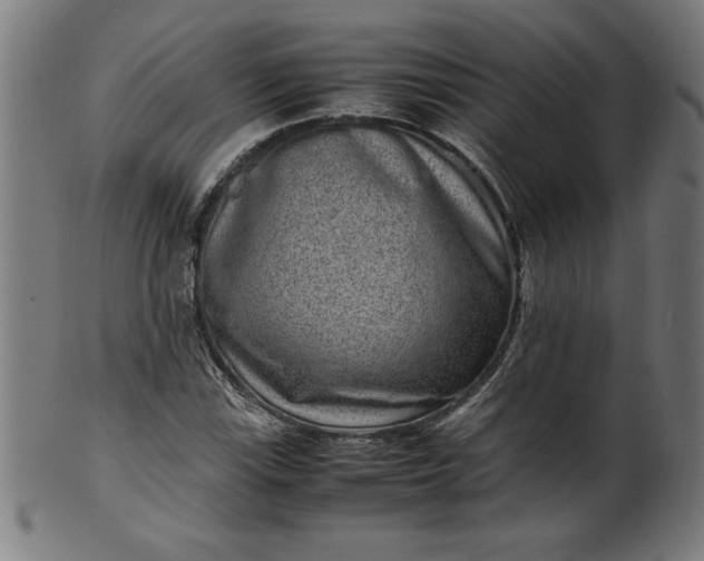 X0000099941115200806061511