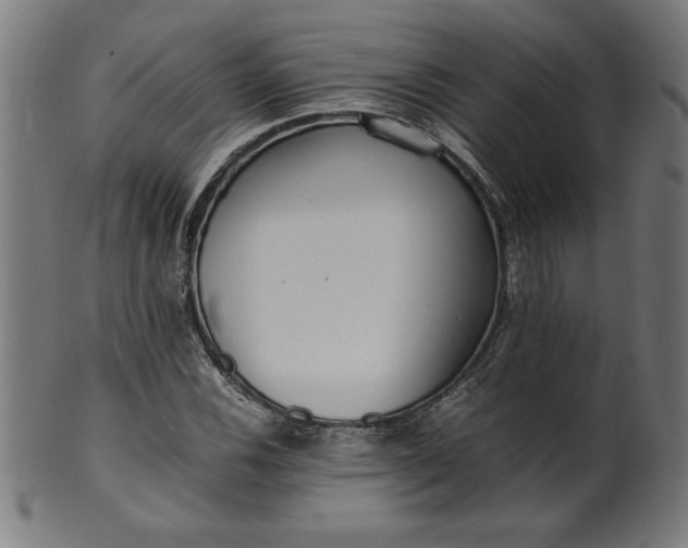 X0000099941116200806061511