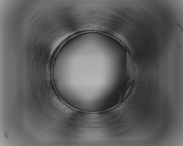 X0000099941120200806061511