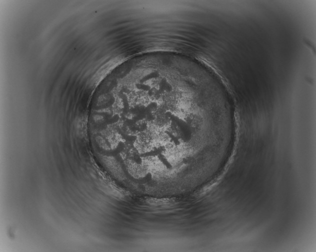X0000099941121200806061512