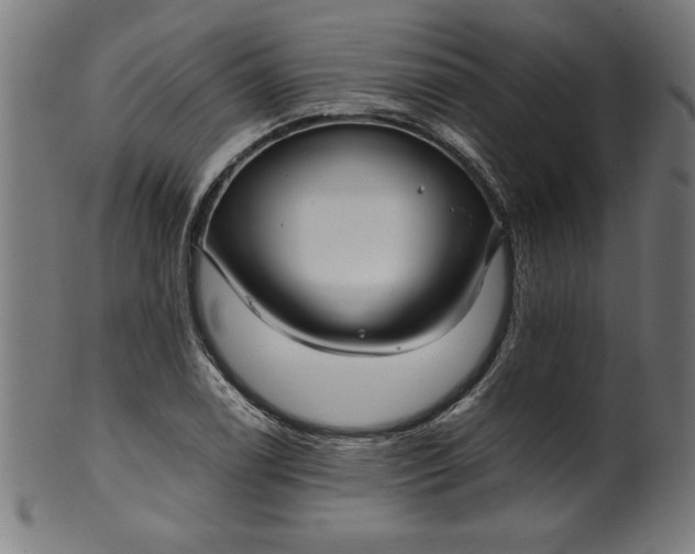 X0000099941122200806061512