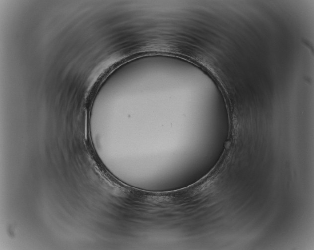 X0000099941123200806061512