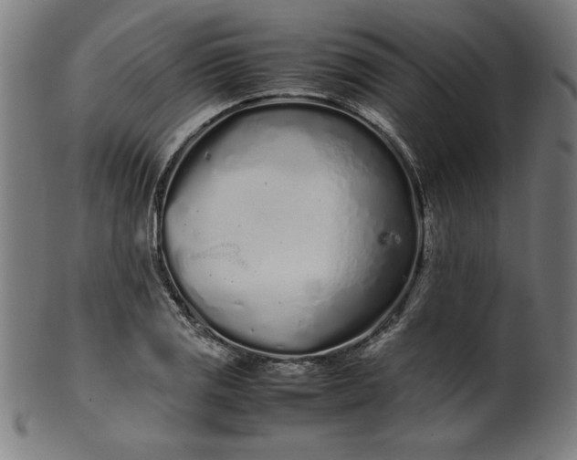 X0000099941125200806061512