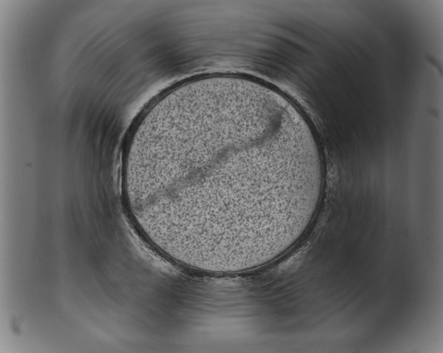 X0000099941126200806061512