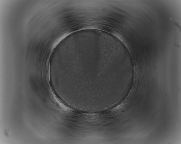 X0000099941127200806061512