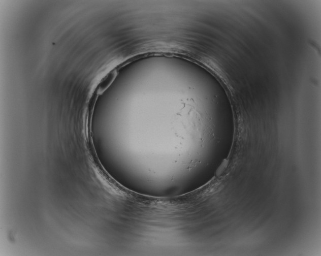X0000099941128200806061512