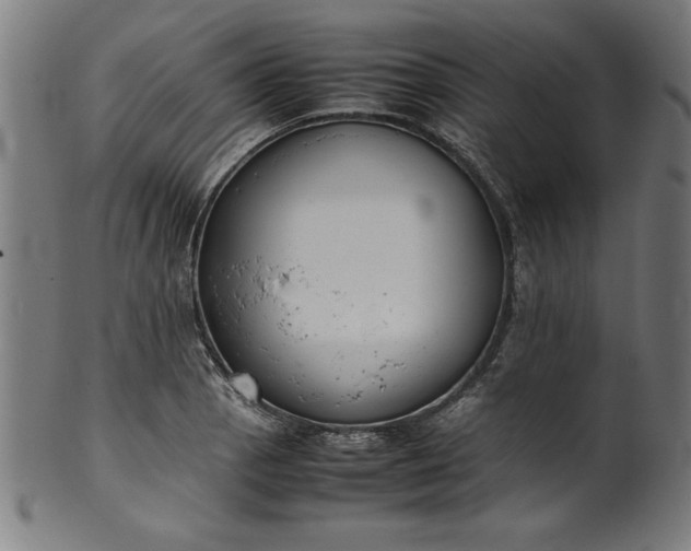 X0000099941129200806061512