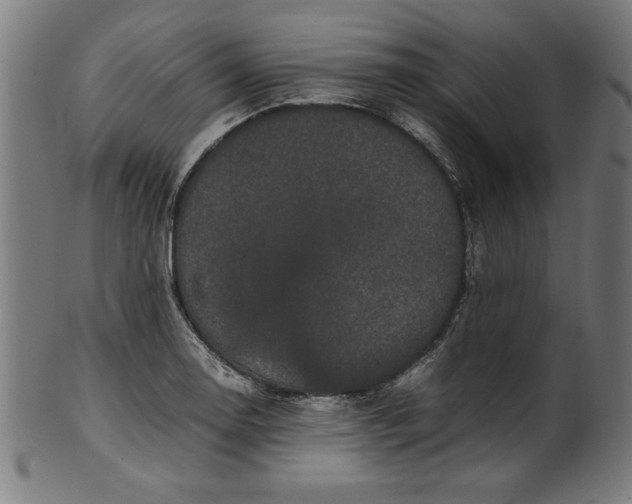 X0000099941130200806061512