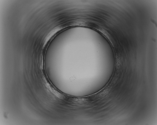 X0000099941131200806061512