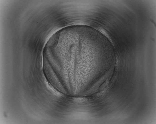 X0000099941132200806061512