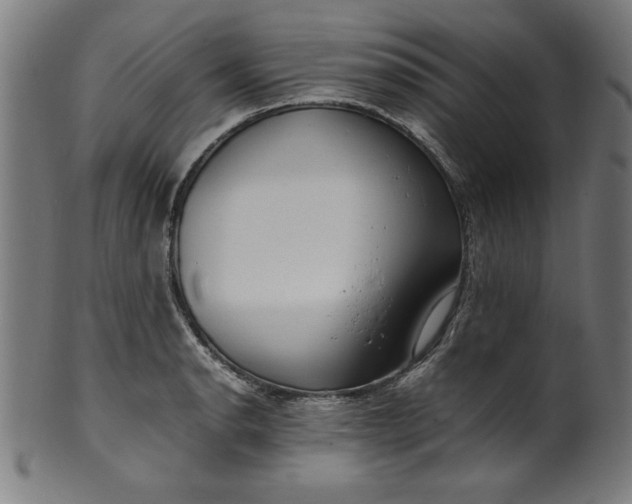 X0000099941134200806061512