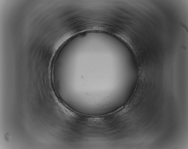 X0000099941135200806061512