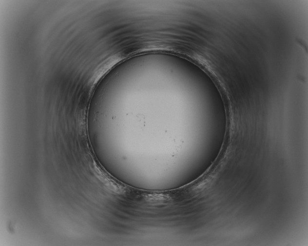 X0000099941137200806061512