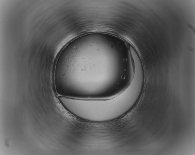 X0000099941138200806061512