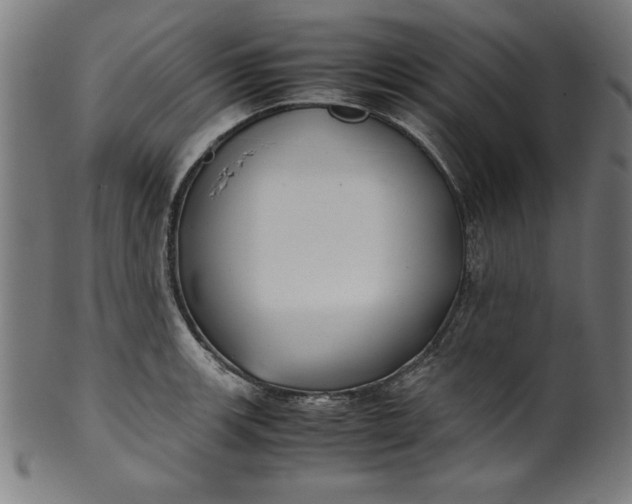X0000099941139200806061512