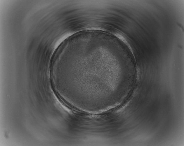 X0000099941141200806061512