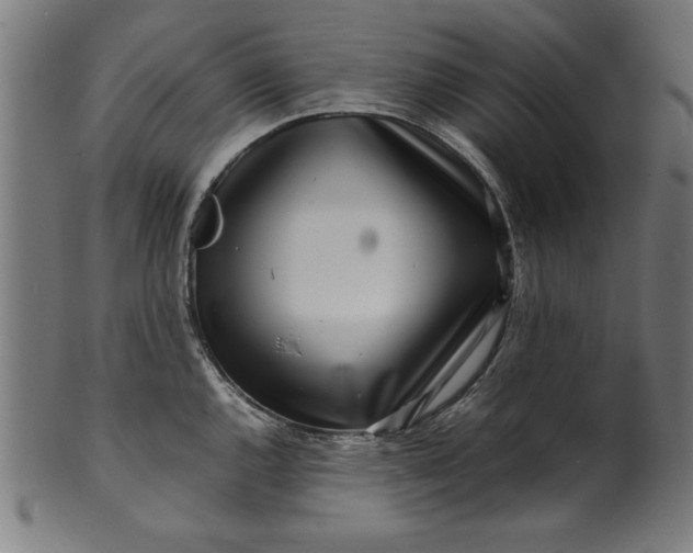 X0000099941144200806061512