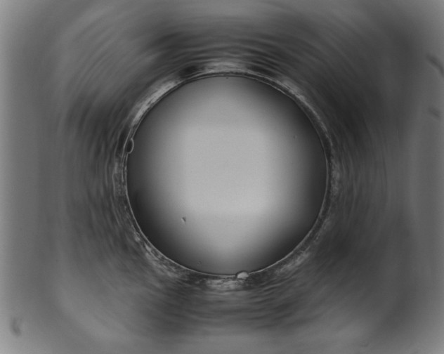 X0000099941145200806061512