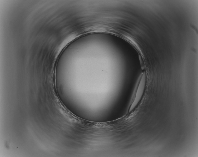 X0000099941146200806061512