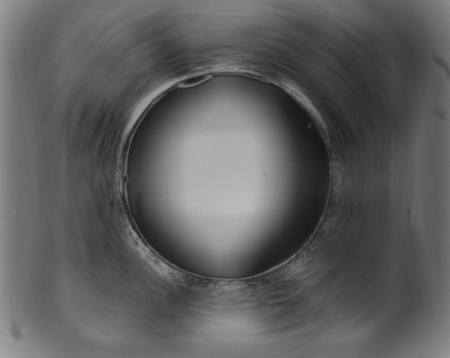 X0000099941148200806061512