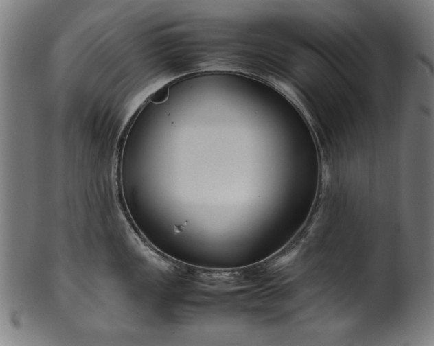 X0000099941149200806061512