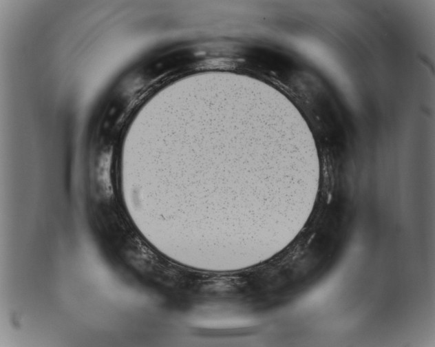 X0000099941150200806061512