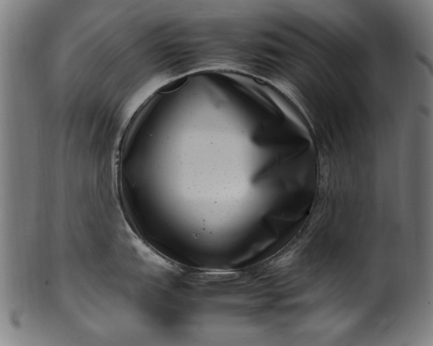 X0000099941151200806061512