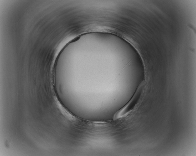 X0000099941152200806061512