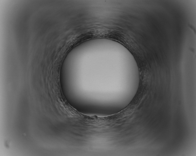 X0000099941153200806061511