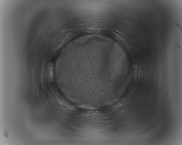 X0000099941154200806061511