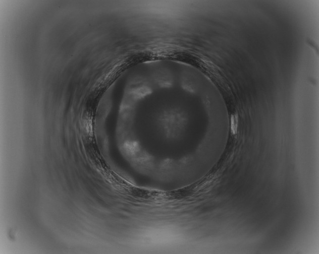 X0000099941155200806061511