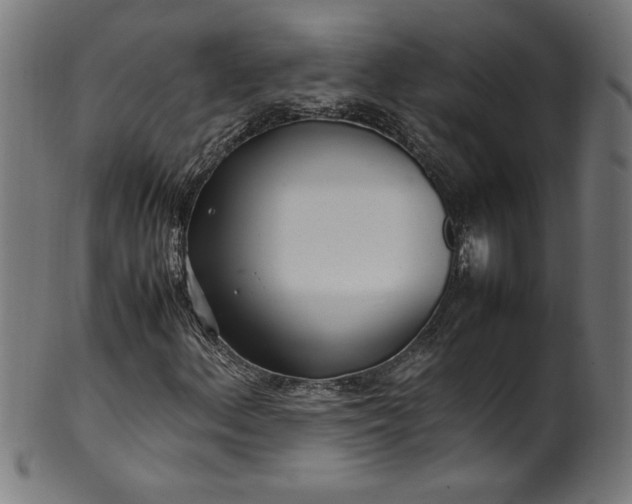 X0000099941156200806061511