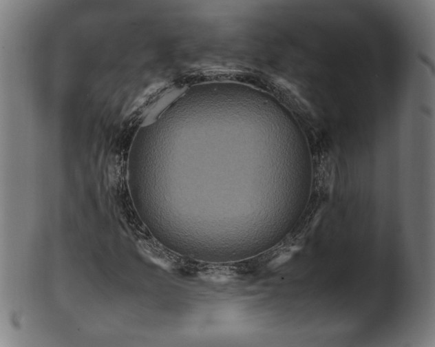 X0000099941157200806061511