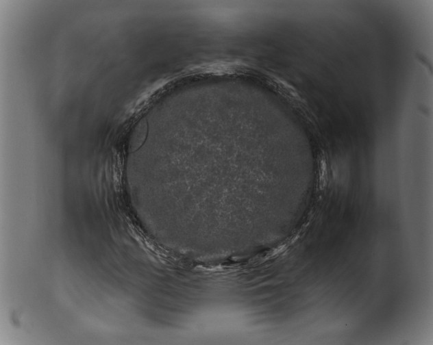 X0000099941158200806061511